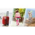 StarLine M18- StarLine M18-