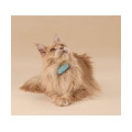 Tractive CAT mini GPS Pet Tracker Γάτας με Κολάρο Mint (Τεμάχιο)- Tractive CAT mini GPS Pet Tracker Γάτας με Κολάρο Mint (Τεμάχιο)-