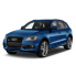 AUDI Q5 2008-2018 (1)
